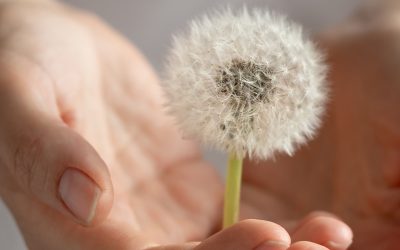 The Ripple Effect of Generosity
