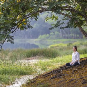 Personalized Meditation