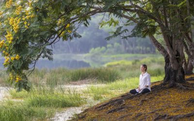 Personalized Meditation