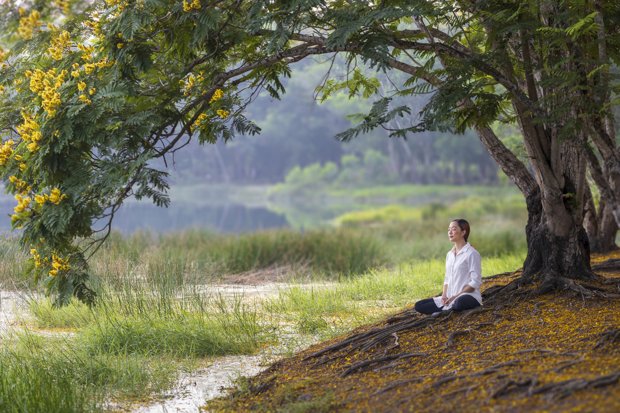 Personalized Meditation Personalized Meditation