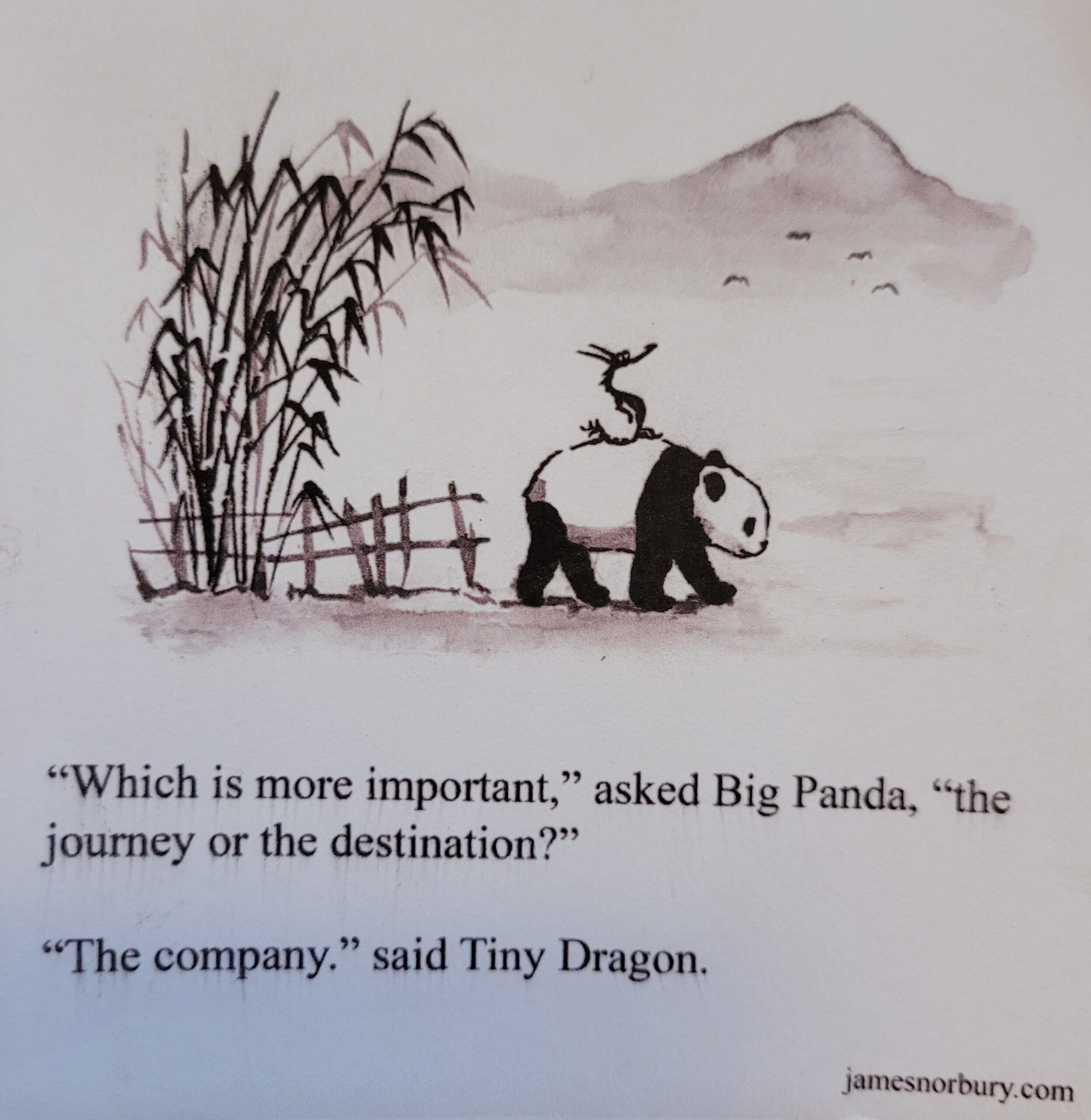 Pig Panda Tiny Dragon Pig Panda Tiny Dragon